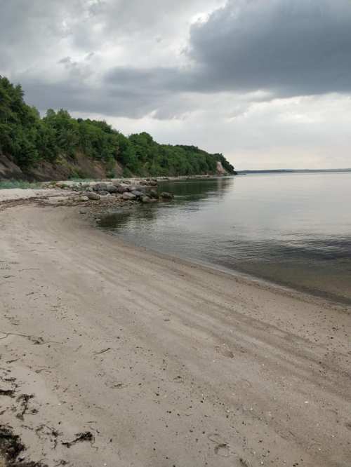 39454148_444727249264311_67201278811308032_n